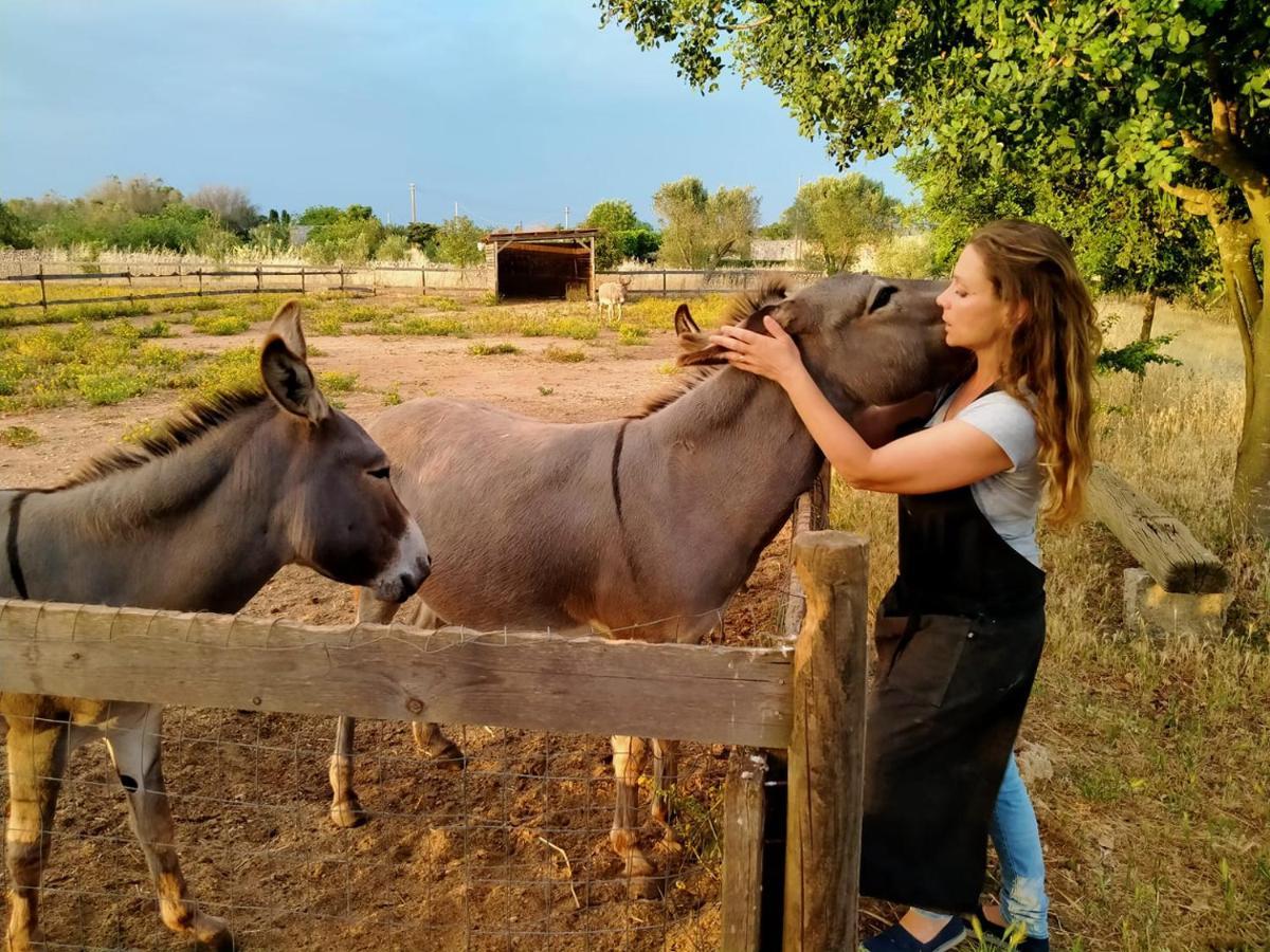 Volito Rural Experience Hotel Patu Ngoại thất bức ảnh